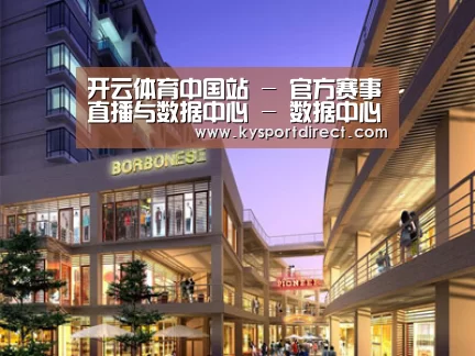 案例展示一(图1)