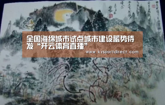 开云体育直播