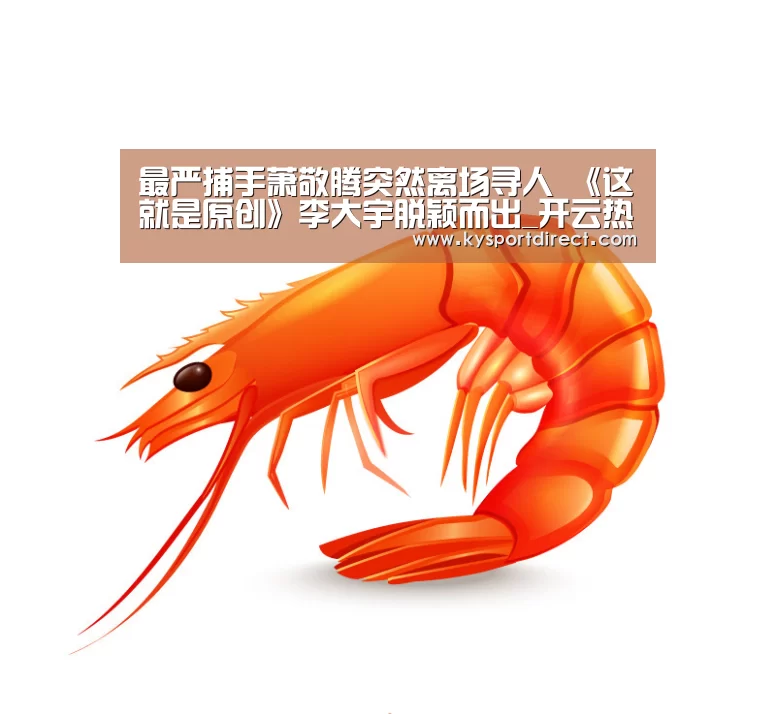 开云体育直播