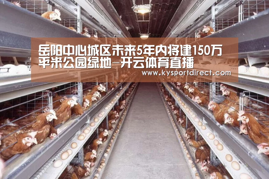 开云赛事