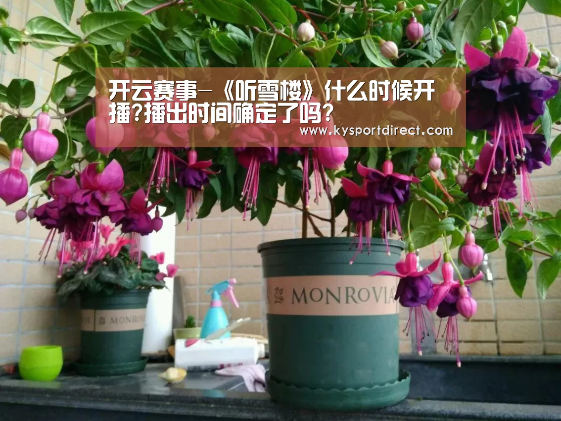 开云赛事
