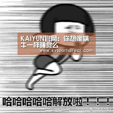 开云热门赛事