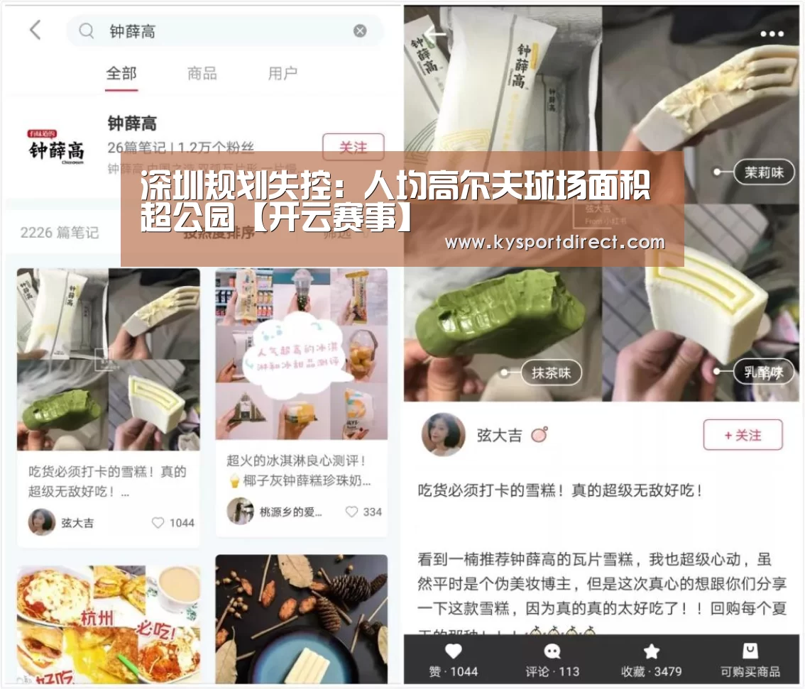 开云体育直播