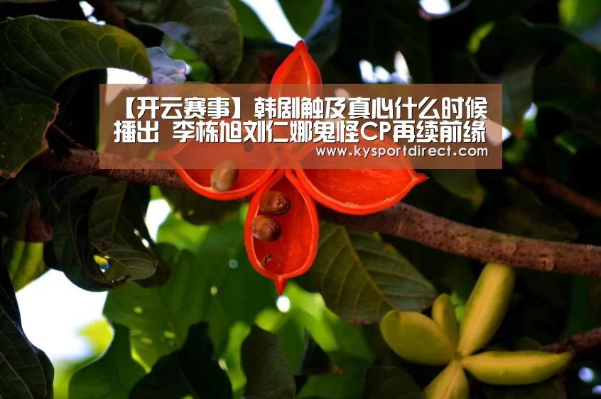 【开云赛事】韩剧触及真心什么时候播出 李栋旭刘仁娜鬼怪CP再续前缘(图1) 开云赛事