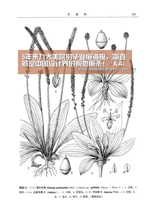 开云体育直播