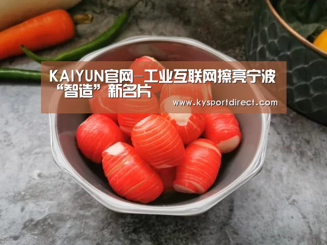 KAIYUN官网-工业互联网擦亮宁波“智造”新名片(图1) KAIYUN官网