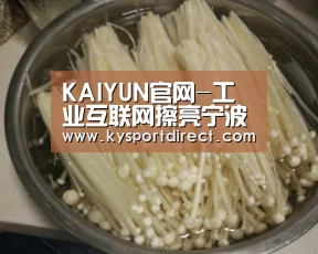 KAIYUN官网-工业互联网擦亮宁波“智造”新名片(图2) 开云体育直播