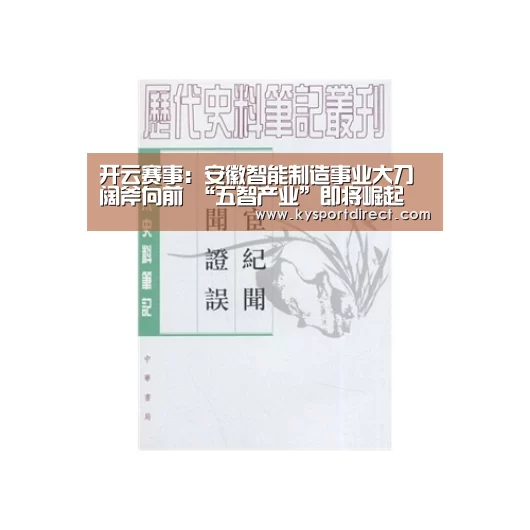 开云赛事:安徽智能制造事业大刀阔斧向前 “五智产业”即将崛起(图4) KAIYUN官网